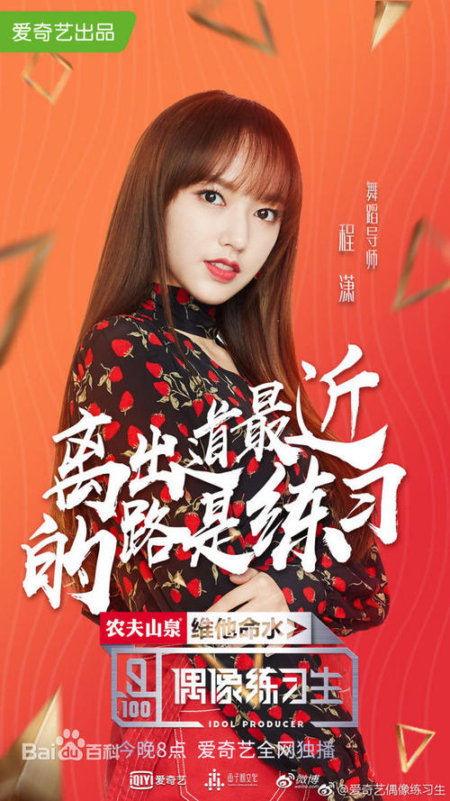 荷兰护照模板买个多少钱